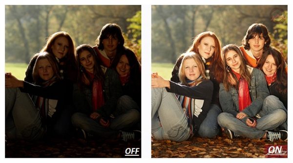 LearnFlex - Image 2
