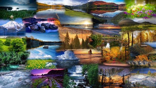 FocusFlowX Mastery - Image 2