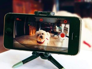FocusMode