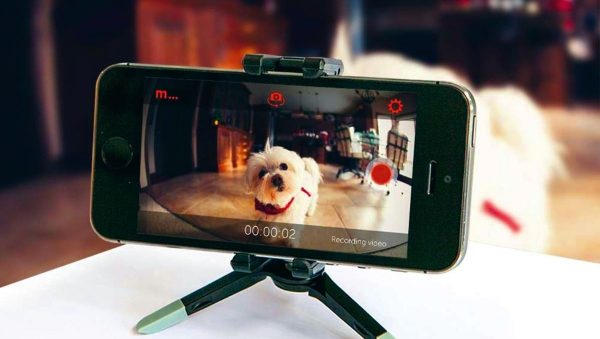 FocusMode